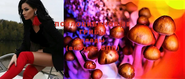 мдма Богданович