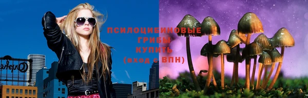 мдма Богданович