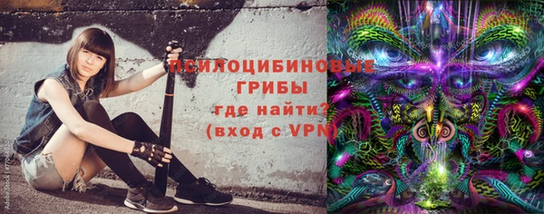 мдма Богданович