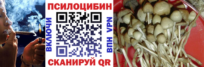 Галлюциногенные грибы прущие грибы  закладки  Вязьма 